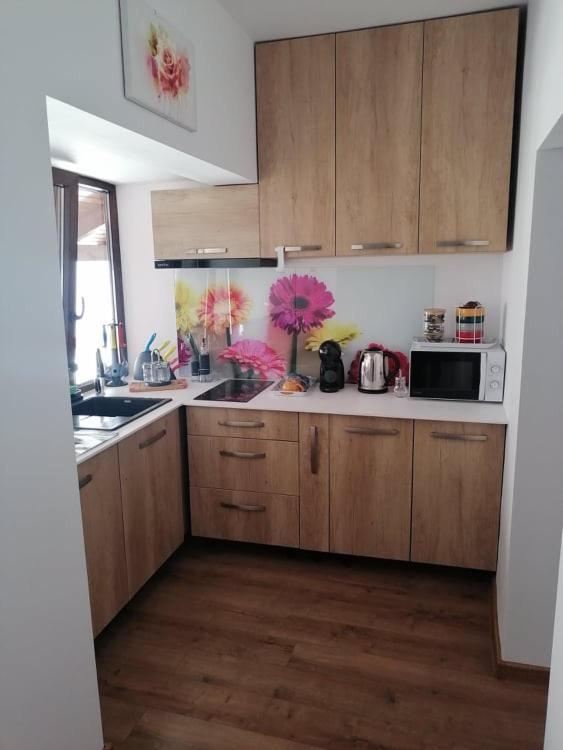 Happy House Appartement Hunedoara Buitenkant foto